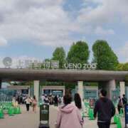 ヒメ日記 2025/04/22 11:15 投稿 木崎 鶯谷人妻城