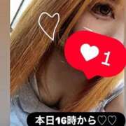 ヒメ日記 2025/07/14 14:48 投稿 ゆいな 熟女の風俗最終章 高崎店