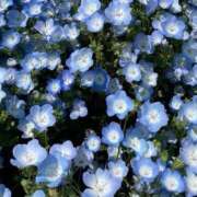 ヒメ日記 2025/05/11 11:28 投稿 工藤　せな NADIA大阪店