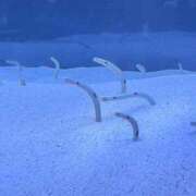 ヒメ日記 2025/04/24 22:58 投稿 もえ 福岡大野城・板付インターちゃんこ