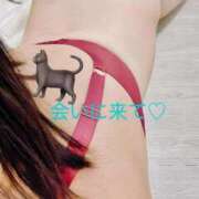 ヒメ日記 2025/06/01 11:58 投稿 もえ 福岡大野城・板付インターちゃんこ