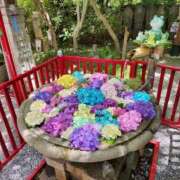 ヒメ日記 2025/06/20 22:58 投稿 もえ 福岡大野城・板付インターちゃんこ