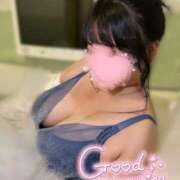 ヒメ日記 2025/04/19 15:09 投稿 まりも 奥様なでしこ