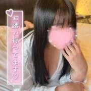 ヒメ日記 2025/04/27 18:51 投稿 まりも 奥様なでしこ