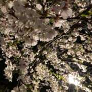 ヒメ日記 2025/04/23 13:24 投稿 藤沢 熟女の風俗最終章 横浜本店