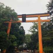 ヒメ日記 2025/09/18 12:04 投稿 藤沢 熟女の風俗最終章 横浜本店