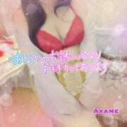 あやめ [お題]from:熊本のあいつさん 所沢東村山ちゃんこ