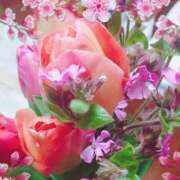 ヒメ日記 2025/04/24 08:20 投稿 ともか 奥様特急新潟店