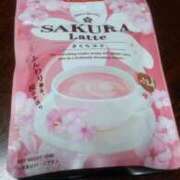 ヒメ日記 2026/02/03 08:10 投稿 ともか 奥様特急新潟店