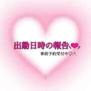 ヒメ日記 2025/04/28 15:51 投稿 さな 三重四日市ちゃんこ