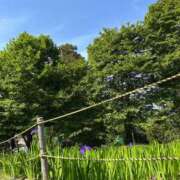 ヒメ日記 2025/05/05 21:51 投稿 さな 三重四日市ちゃんこ