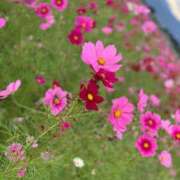 ヒメ日記 2025/05/27 07:51 投稿 さな 三重四日市ちゃんこ