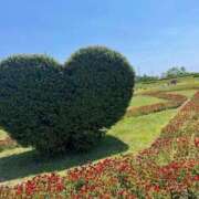 ヒメ日記 2025/06/06 00:22 投稿 さな 三重四日市ちゃんこ