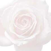 ヒメ日記 2025/07/04 08:11 投稿 さな 三重四日市ちゃんこ