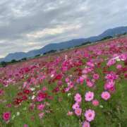 ヒメ日記 2025/07/08 23:21 投稿 さな 三重四日市ちゃんこ