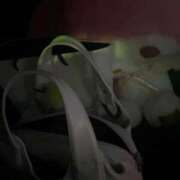 ヒメ日記 2025/12/29 21:21 投稿 さな 三重四日市ちゃんこ