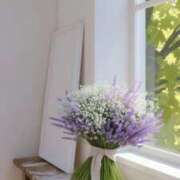 ヒメ日記 2026/02/15 21:21 投稿 さな 三重四日市ちゃんこ