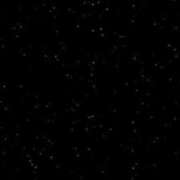 ヒメ日記 2026/03/07 21:31 投稿 さな 三重四日市ちゃんこ