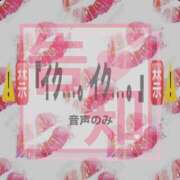 ヒメ日記 2025/05/03 12:30 投稿 めろ フォーチュン