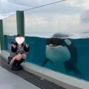 ヒメ日記 2026/02/28 18:58 投稿 めろ フォーチュン