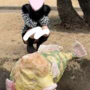 ヒメ日記 2026/03/10 14:41 投稿 めろ フォーチュン