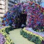 ヒメ日記 2026/03/14 12:31 投稿 めろ フォーチュン