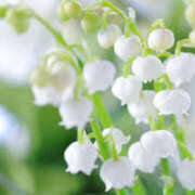 ヒメ日記 2025/05/03 20:00 投稿 みなこ 奥鉄オクテツ東京店（デリヘル市場）