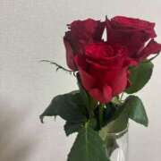 ヒメ日記 2026/04/01 11:41 投稿 ひより スピード難波店