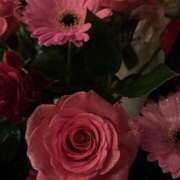 ひより ひより（スピード難波店） スピード難波店