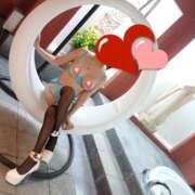 ヒメ日記 2025/05/29 08:21 投稿 なぎさ 水戸人妻花壇