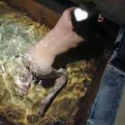 ヒメ日記 2025/06/22 07:28 投稿 なぎさ 水戸人妻花壇