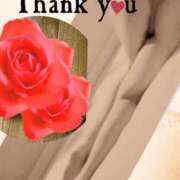 ヒメ日記 2025/07/19 03:32 投稿 なぎさ 水戸人妻花壇