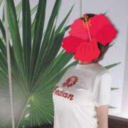 ヒメ日記 2025/07/19 10:07 投稿 なぎさ 水戸人妻花壇