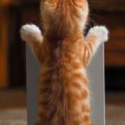 ヒメ日記 2025/08/17 18:04 投稿 なぎさ 水戸人妻花壇