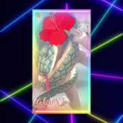 ヒメ日記 2025/09/25 09:20 投稿 なぎさ 水戸人妻花壇