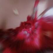 ヒメ日記 2025/11/19 02:32 投稿 なぎさ 水戸人妻花壇