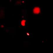 ヒメ日記 2025/12/02 12:25 投稿 なぎさ 水戸人妻花壇