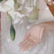 ヒメ日記 2026/01/08 10:06 投稿 なぎさ 水戸人妻花壇