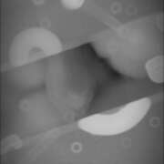 ヒメ日記 2026/01/31 06:38 投稿 なぎさ 水戸人妻花壇