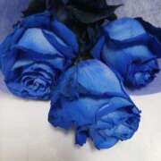 ヒメ日記 2026/02/03 14:05 投稿 なぎさ 水戸人妻花壇