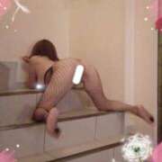 ヒメ日記 2026/03/13 06:59 投稿 なぎさ 水戸人妻花壇