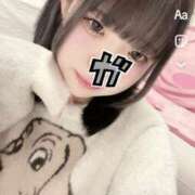 ヒメ日記 2025/04/24 17:48 投稿 レア バニーコレクション秋田店