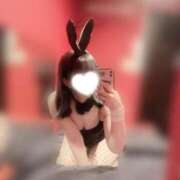 ヒメ日記 2025/04/29 01:27 投稿 レア バニーコレクション秋田店