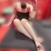 ヒメ日記 2025/04/30 00:36 投稿 レア バニーコレクション秋田店