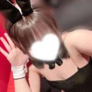 ヒメ日記 2025/05/28 09:03 投稿 レア バニーコレクション秋田店