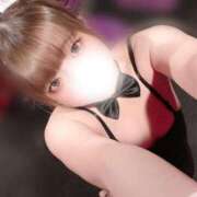 ヒメ日記 2025/08/06 00:27 投稿 レア バニーコレクション秋田店