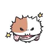 ヒメ日記 2025/12/31 09:23 投稿 レア バニーコレクション秋田店