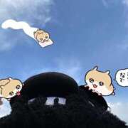 ヒメ日記 2026/01/21 09:01 投稿 レア バニーコレクション秋田店