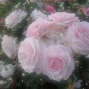 ヒメ日記 2026/03/09 10:26 投稿 レア バニーコレクション秋田店