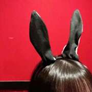 ヒメ日記 2026/04/20 15:15 投稿 レア バニーコレクション秋田店